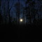 Full Moon over Waverly