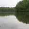 Rain on Lake Albemarle