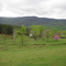Spring on Walnut Lever Road