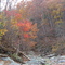 Fall on the Moorman's River Upstream of Sugar Hollow