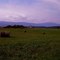 Hay Field Looking North