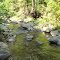 North Fork Moormans River Downstream from Crossing