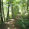North Fork Moormans River Trail (Black Rock Gap Road)