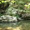 Rock Spring on the North Fork Moormans River