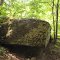 North Fork Moormans River Trail Boulder