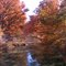 Fall in Texas