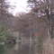 Medina River Crossing