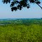 Overlook