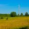 Wisconsin Nature