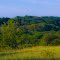 Sloped Horizon