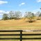  Georgetown direction Kentucky,old Frankfort pike road