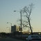 Downtown Flint