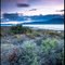 Sunset over the Black Rock Playa