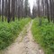 Apgar Lookout Trail (June 2006)