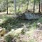 Foundation of Old Greeter Homesite