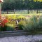 Riverbend Flower-3