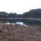 Woods Lake