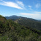 Looking west along West Camino Cielo