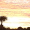 Orlando Sunset, Dr