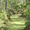 Grass carpet lined path