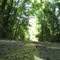 Crete Forest Trail