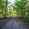 4x4 Trail