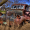 Rusty Dodge