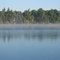 Clear Lake and the loons