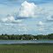 Saint Lawrence River