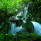 Stewart Falls
