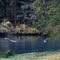 ROUGE ELK PARK