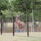 Elk sculpture N side of Highway 2