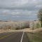 Winter photo taken approx Noon.  Break in the clouds illuminated the naked trees nicely.  Minor alterations done to to remove road signs.