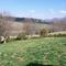 Overlooking the South Holston river outside Bluff City