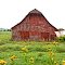 Rocky Mount Barn