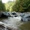 Deer Creek Bushwhack