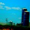Bickford Farms