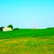 Farmland near Dodgeville