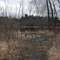Pond view