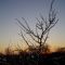 Cold Day near Williamston!