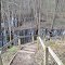Stairs to the Red Cedar River