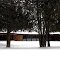 Schaberg House, Okemos, Michigan, January 2013