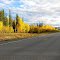 Goldener Herbst am Richardson Highway