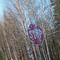 Alaska - Tok  |  Gleen Hwy Tok Cutoff