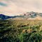Chiricahua Mts near Rodeo, New Mexico, march 7, 1995