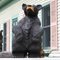 Wood bear