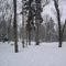 Snowboarding the Glades | Bretton Woods