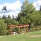 Aerobe in the park