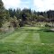 Winchester CC, Hole 7, Par 3, 172 yds