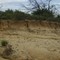 trail at glen helen